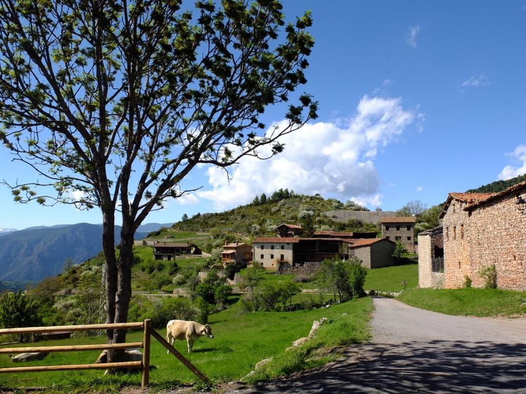 Cal Sansa Villa Cava Eksteriør bilde